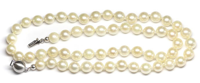 Foto 1 - Perlenkette Akoya Choker 6,5 bis 7 mm Weißgold Schloss, S3196